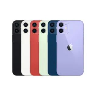 Apple iPhone 12 Mini Back Glass